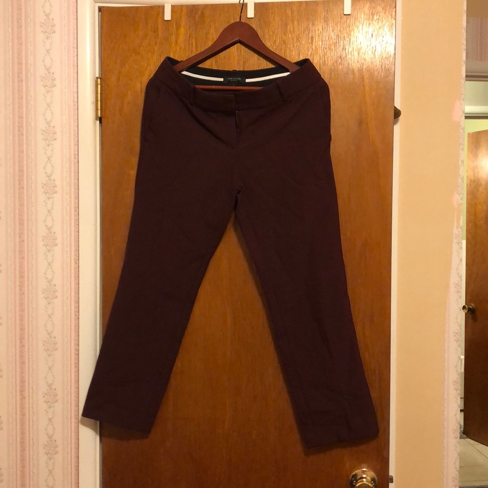 Dress pants